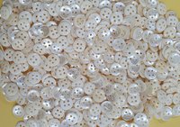 Indian River Shell Buttons