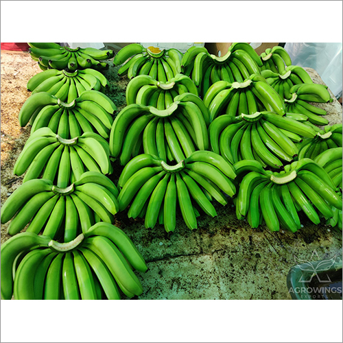 Fresh Green Cavendish Banana By AGROWINGS EXPORTS LLP