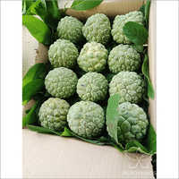 Natural Custard Apple