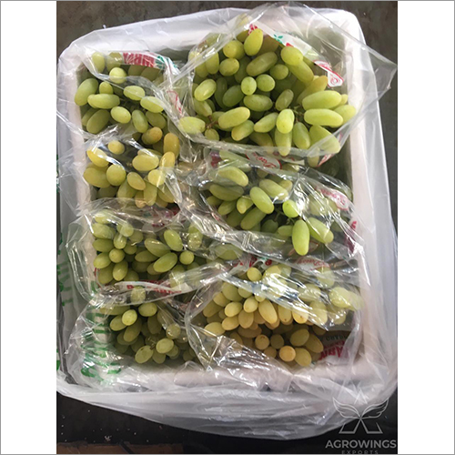 Fresh Green Grapes By AGROWINGS EXPORTS LLP