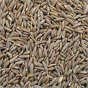 Cumin Seeds