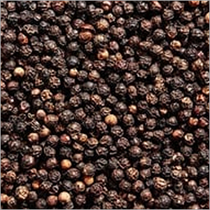 Black Pepper