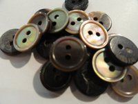 Brown Mop Shell Buttons