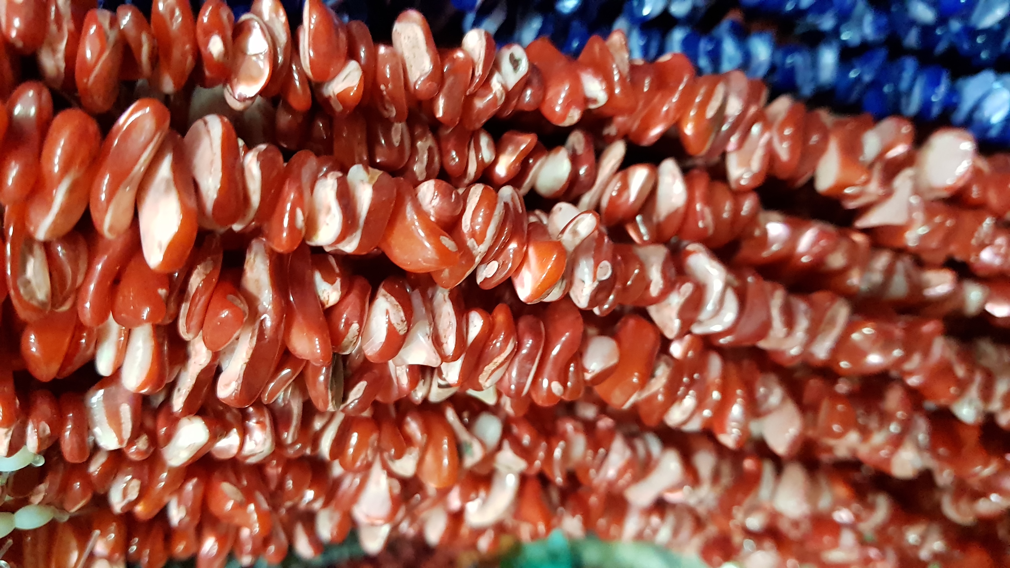 Sea Shell Beads