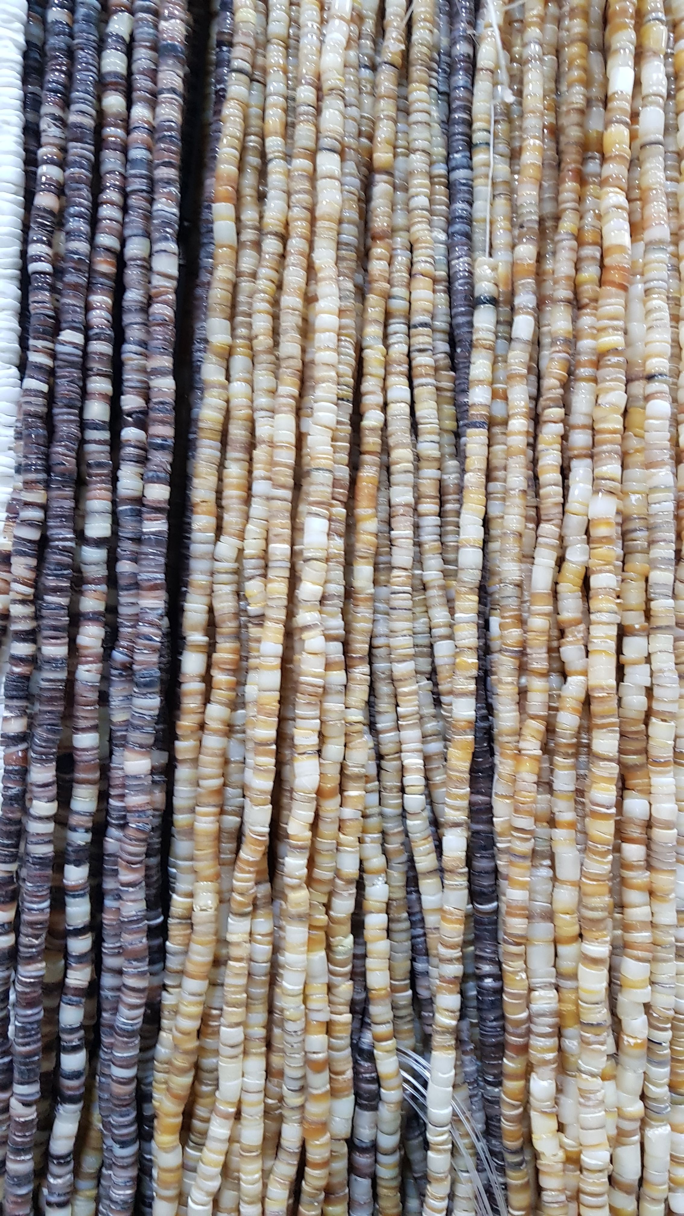Sea Shell Beads