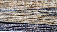 Sea Shell Beads