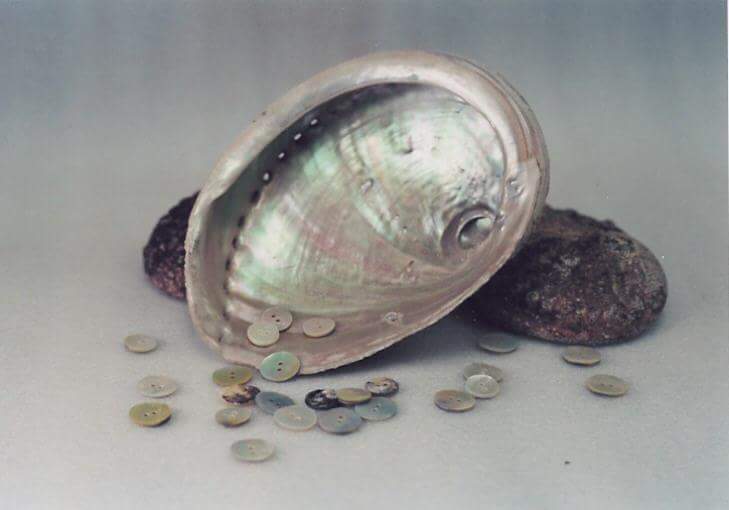 Raw Abalone