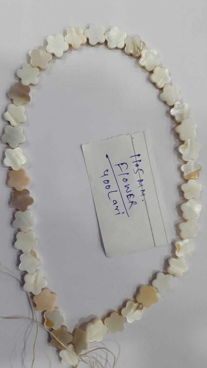 Shell Beads