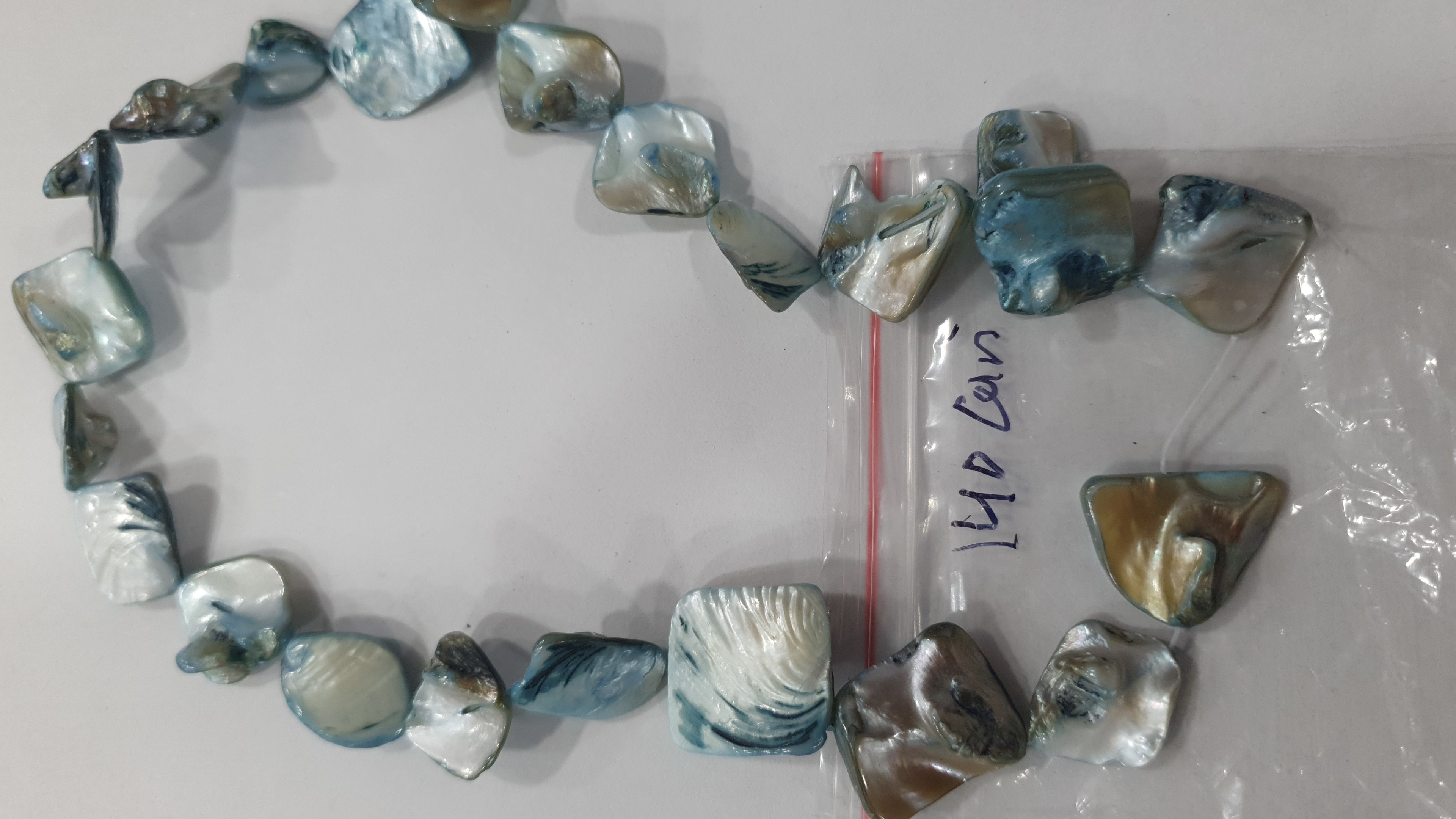 Shell Beads