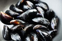 Black Mussel Buttons