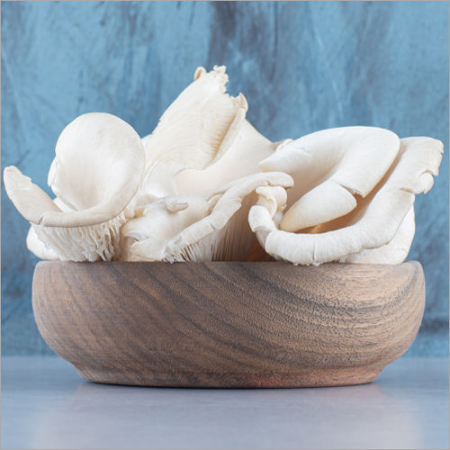 White Organic Oyster Mushroom