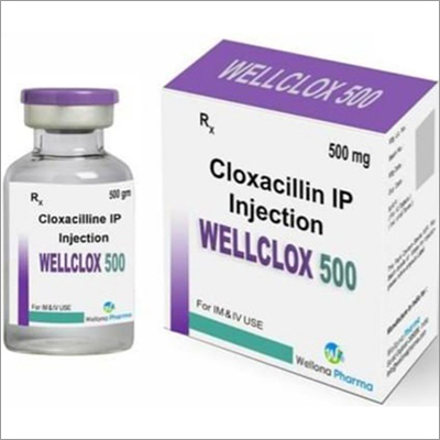 Cloxacillin IP Injection