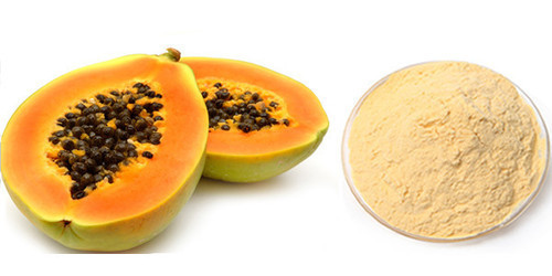 Yellow Color Papaya Powder  ( Spray Dried ) Food Grade