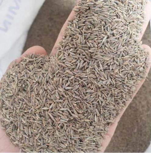 CUMIN(JEERA) EUROPION 99 EXPORT QYALITY