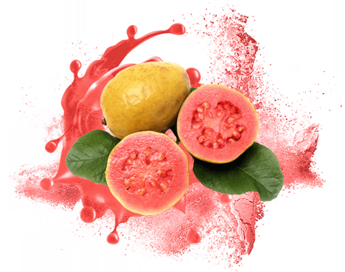 Spray Dried Guava Powder