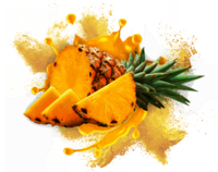 Spray Dried Pineapple Juice Powder
