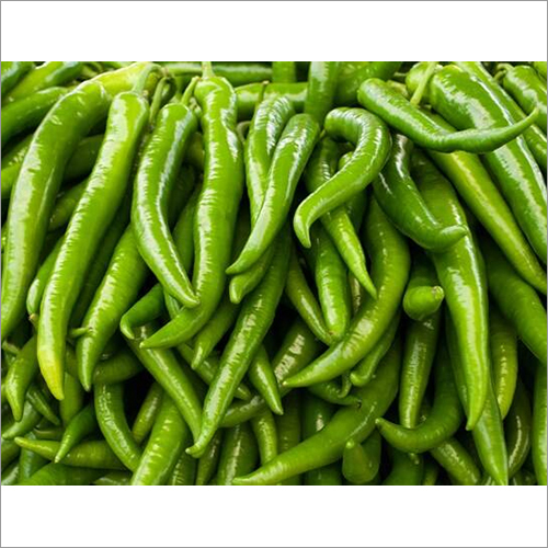 Fresh Green Chilli
