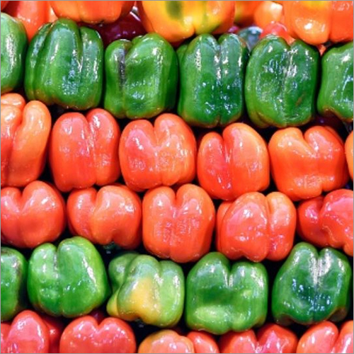 Fresh Capsicum By SMELL FEAST FOOD PROCESSING AND PACKAGING PRIVATE LIMITED