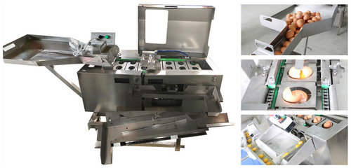 REB-3200 Raw Egg Breaking Machine