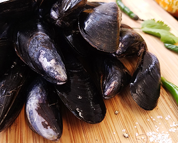 Mussel Raw Shell