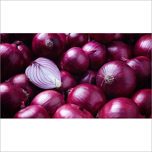 Fresh Red Onion By AZ OVERSEAS