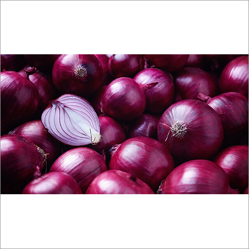 Fresh Red Onion