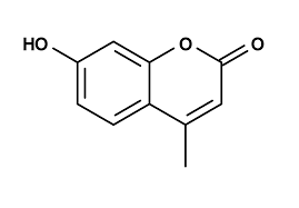 7 Hydroxy 4 Methylcoumarin
