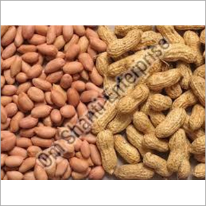 Fresh Shelled Groundnuts