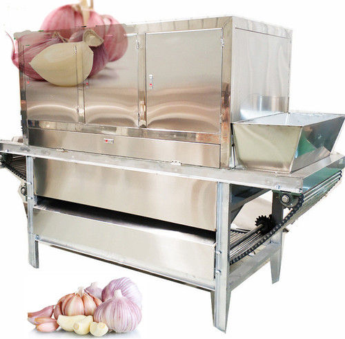 Ydgl-500 Full Automatic Garlic Peeling Machine Capacity: 400-500 Kg/hr