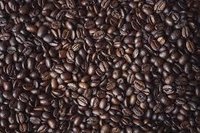 Coffea Robusta Extract