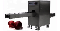 Orc-600 Onion Root Cutting Machine Capacity: 500 Kg/hr