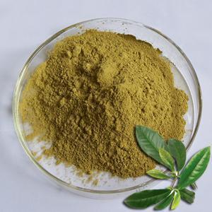 Lagestroemia Speciosa Extract