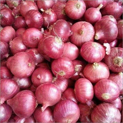 Fresh Organic Onion