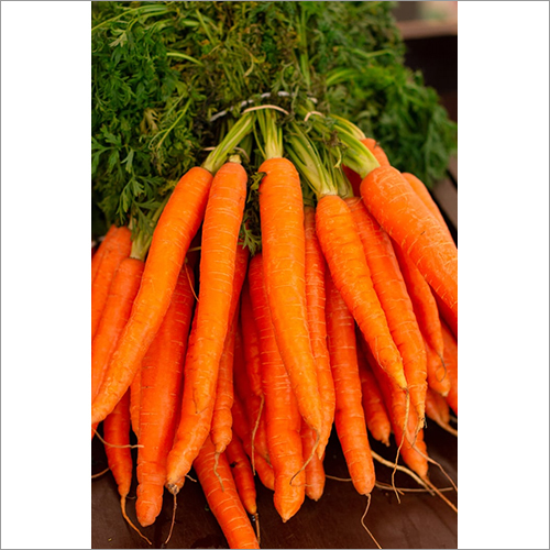 Fresh Organic Carrot