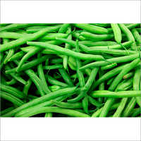 Fresh Organic Haricot Beans