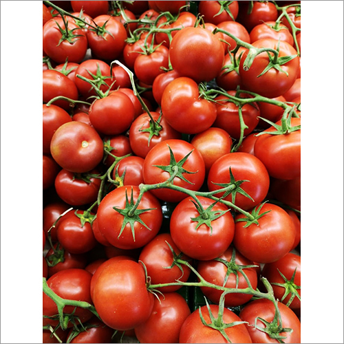 Fresh Organic Tomato