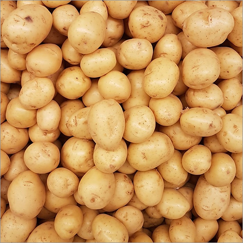 Fresh Organic Potato By ORIENT EXPORTS