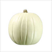 Fresh Organic White Pumpkin