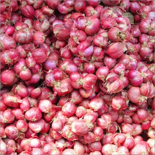 Fresh Organic Small Onion