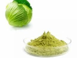 Green Cabbage Powder