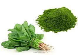 Spinach Powder