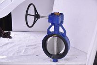 Butterfly Valve