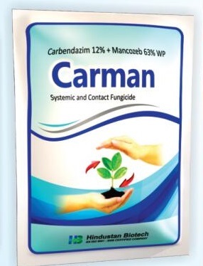 Carman Systemic And Contact Fungicide