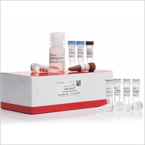 Rt And Pcr Test Kit
