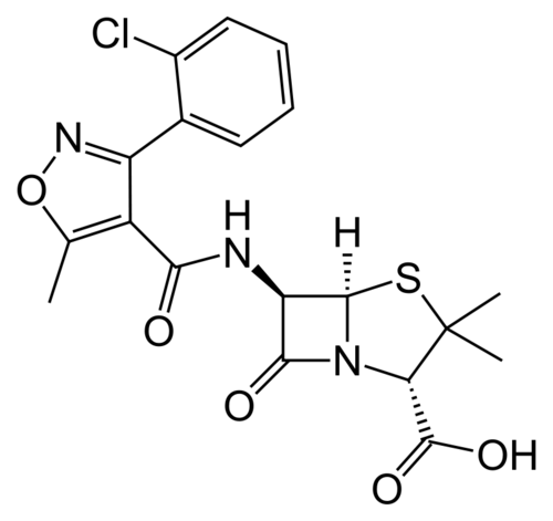 Cefoperazone Sodium Sterile
