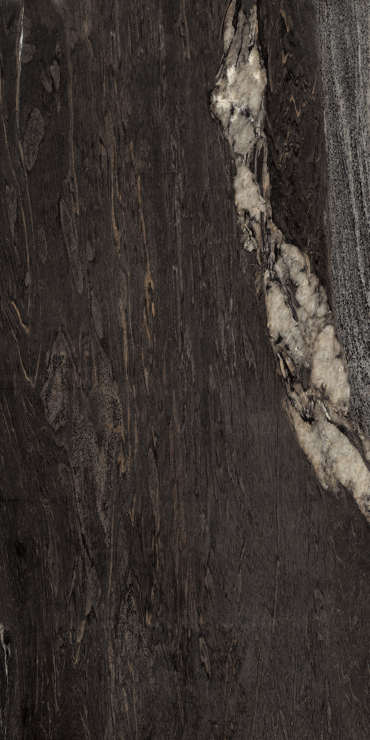 Black Cosmos 800x1600mm High Glossy Porcelain tile