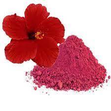 Hibiscus Flower Powder ( Hibiscus Rosa Sinensis Powder