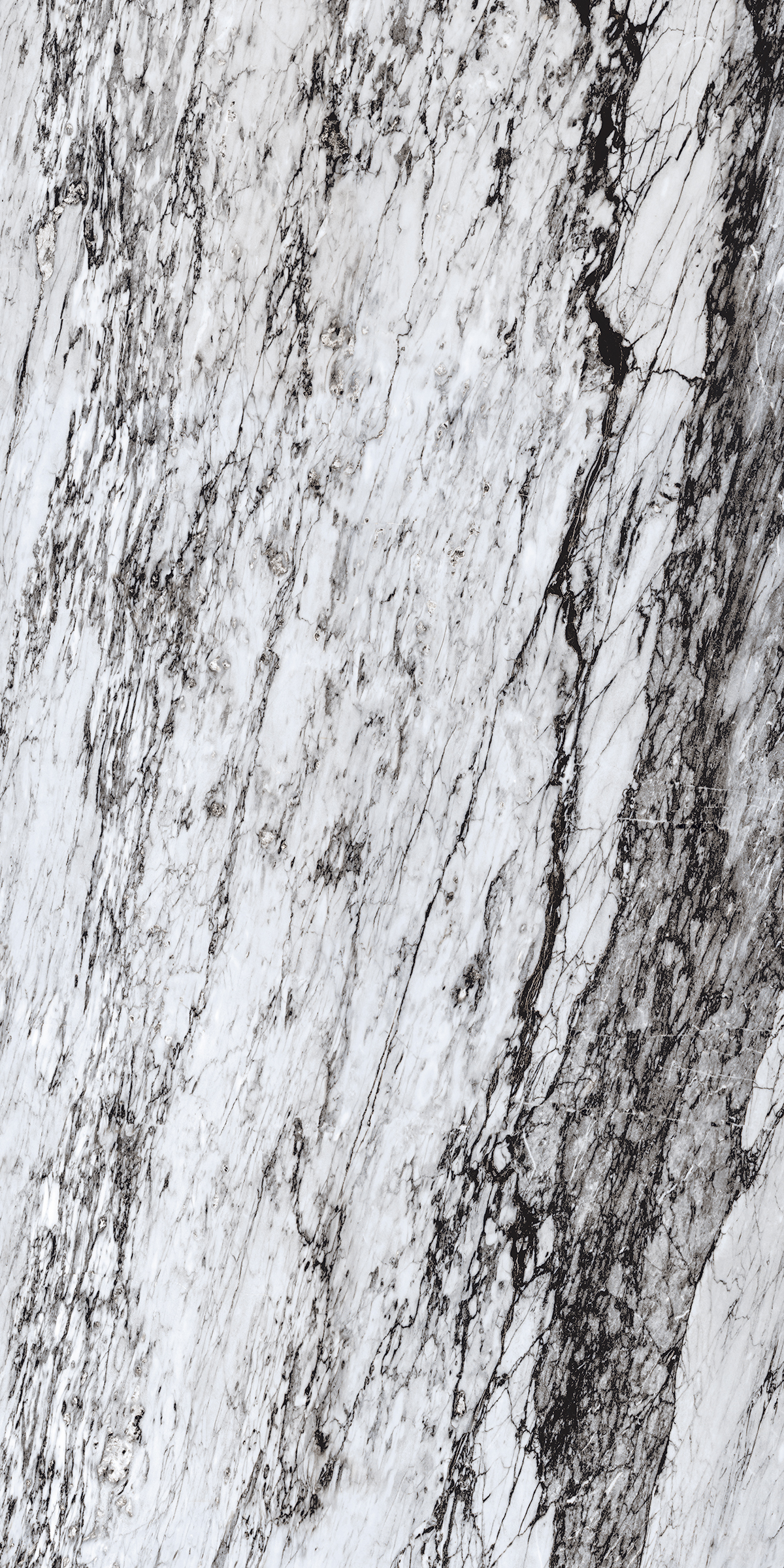 Caracas Black 800x1600 mm High Gloss Porcelain Tile