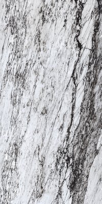Caracas Black 800x1600 mm High Gloss Porcelain Tile