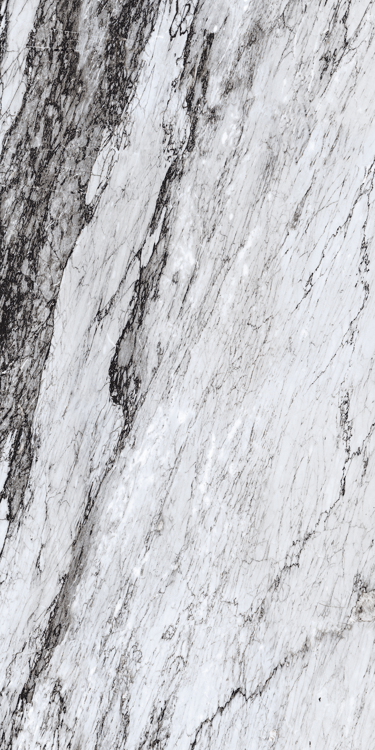 Caracas Black 800x1600 mm High Gloss Porcelain Tile